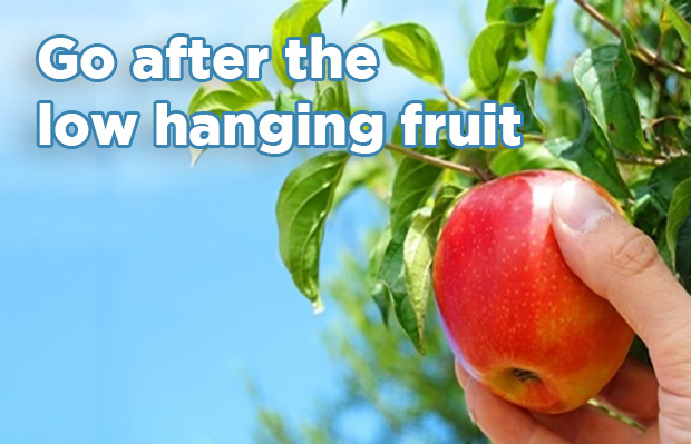 low-hanging-fruit-search-engine-marketing-west-midlands-1