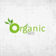 organic seo consultant